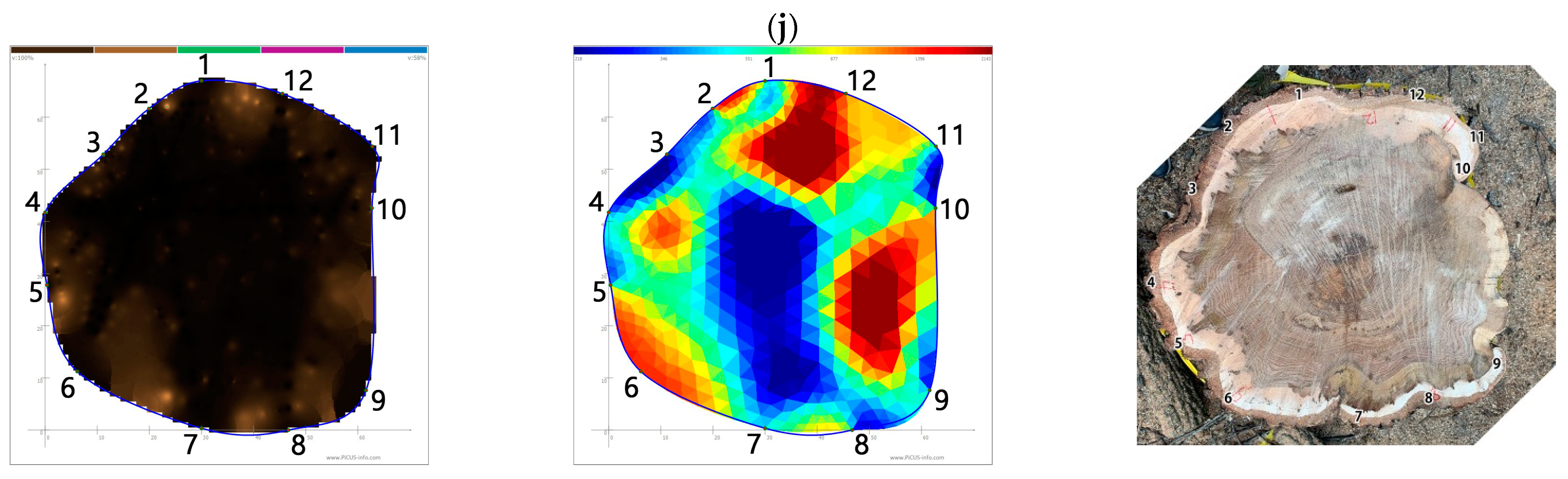 Forests 13 00638 g001d