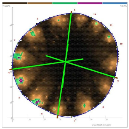 Forests 13 00638 i001