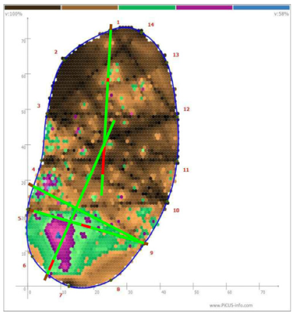 Forests 13 00638 i003