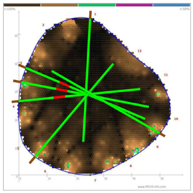 Forests 13 00638 i005
