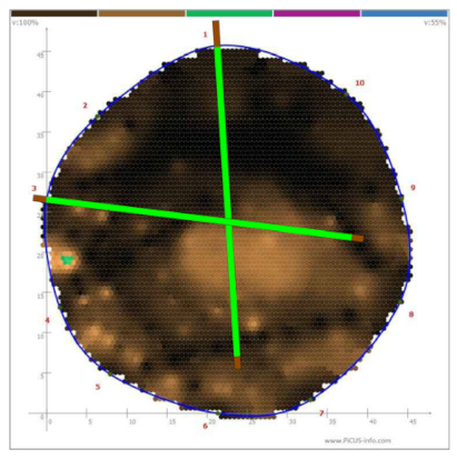 Forests 13 00638 i007