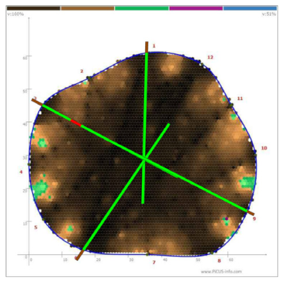 Forests 13 00638 i009