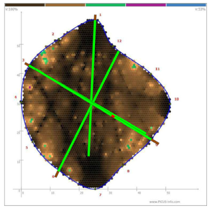 Forests 13 00638 i011
