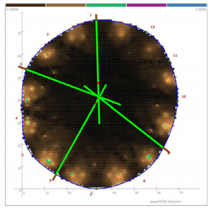 Forests 13 00638 i013