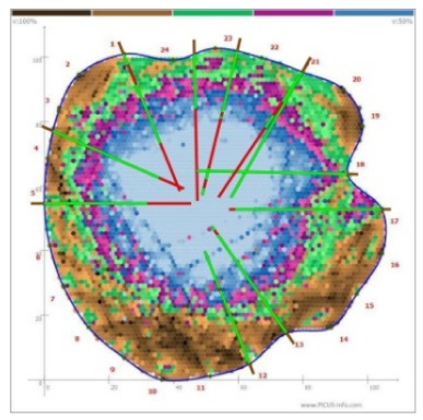 Forests 13 00638 i023