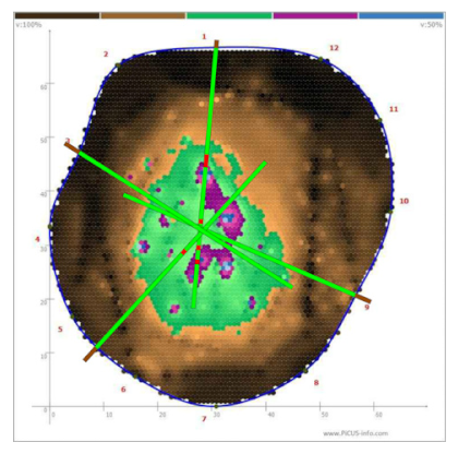 Forests 13 00638 i025
