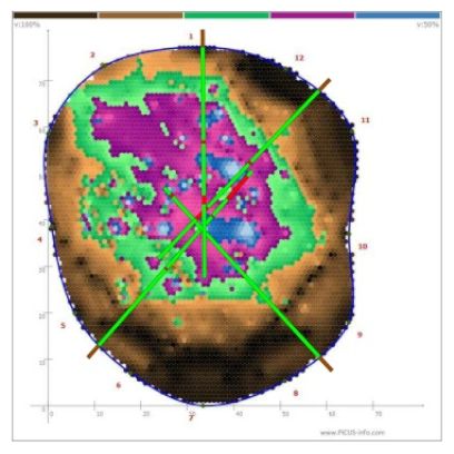 Forests 13 00638 i027