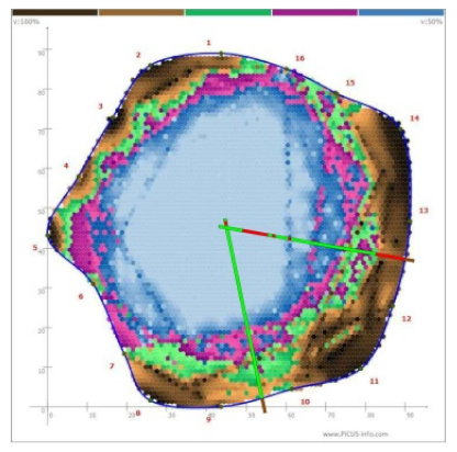 Forests 13 00638 i029