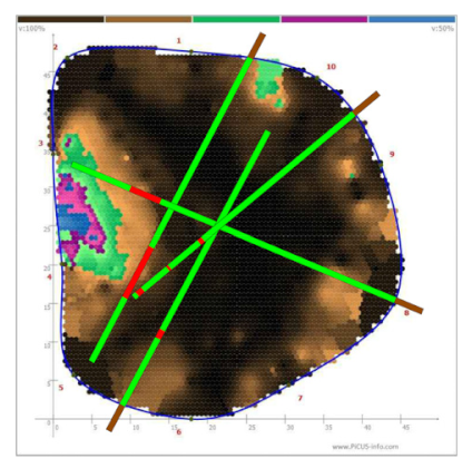 Forests 13 00638 i031