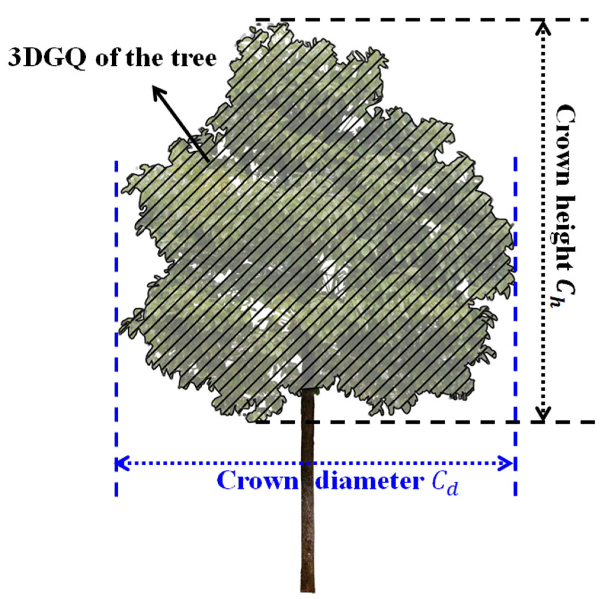 Forests 13 00640 g001