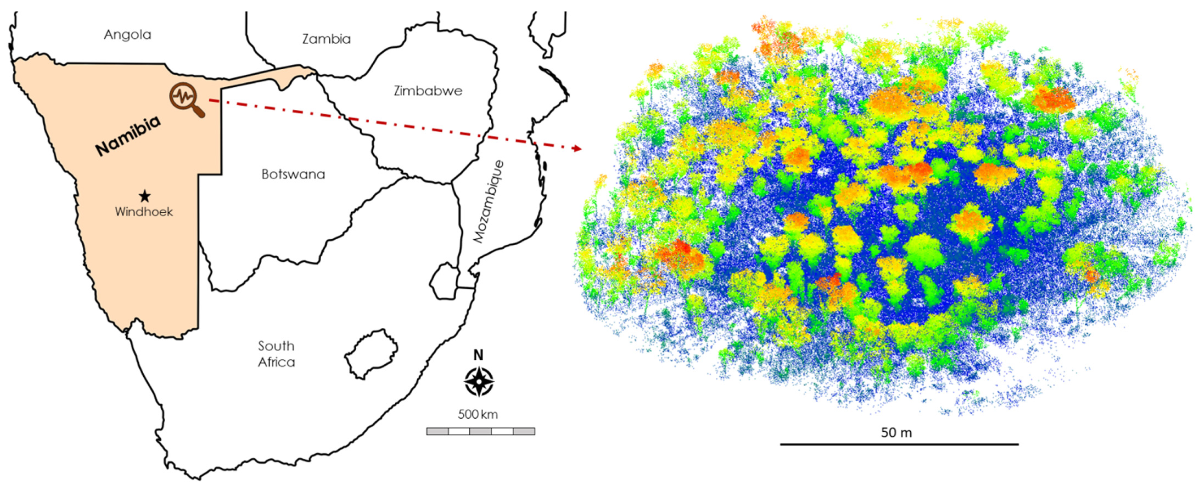 Forests 13 00650 g001