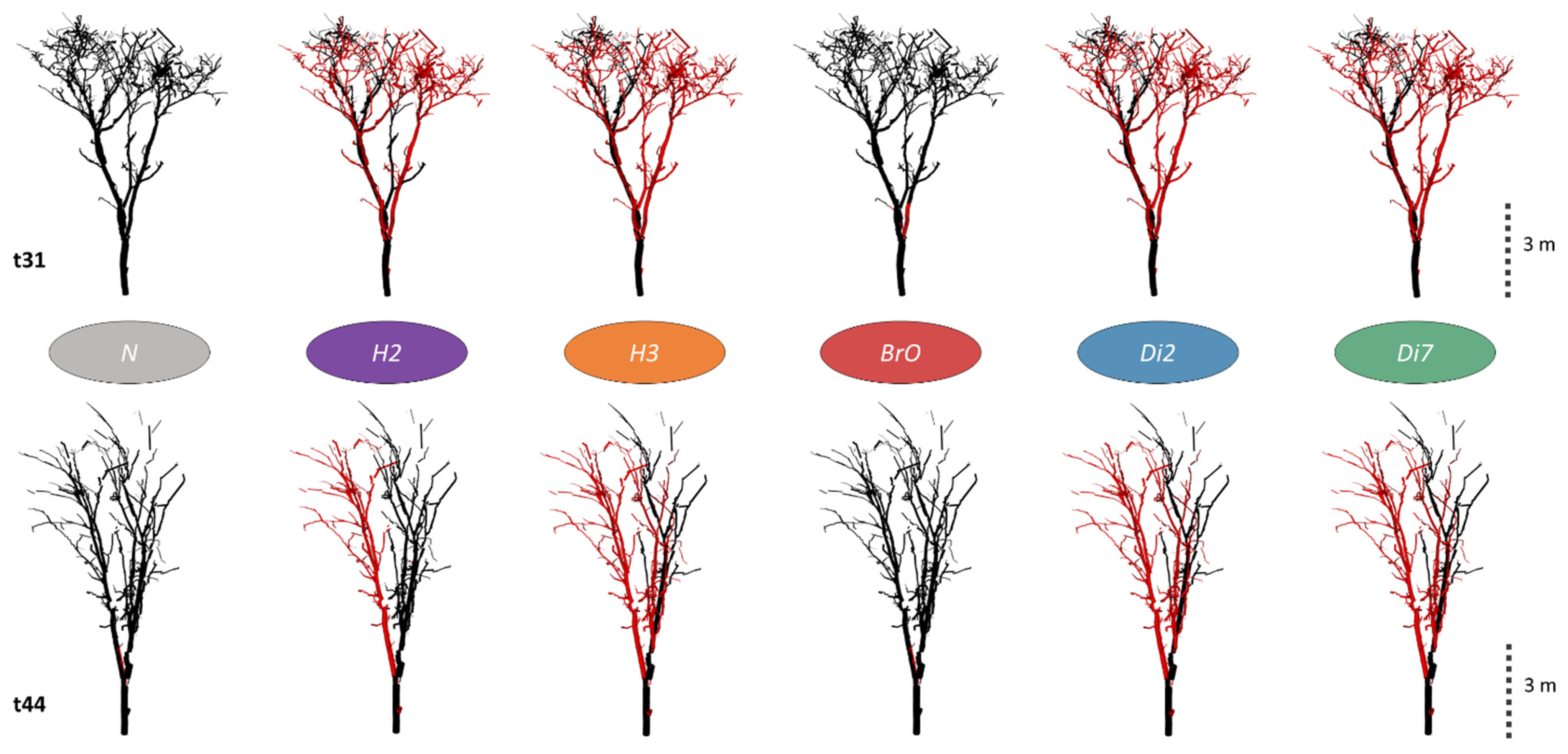 Forests 13 00650 g002