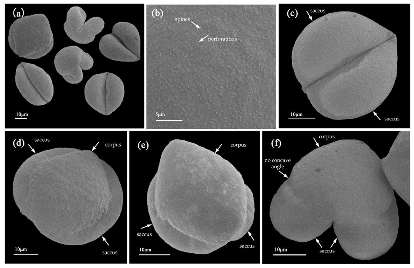 Forests 13 00651 g001