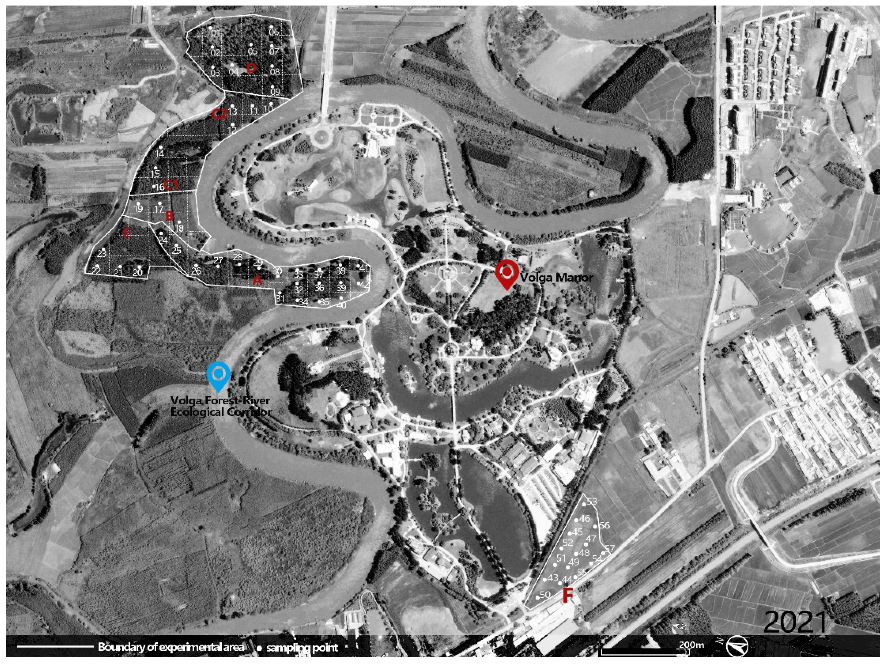 Forests 13 00652 g002