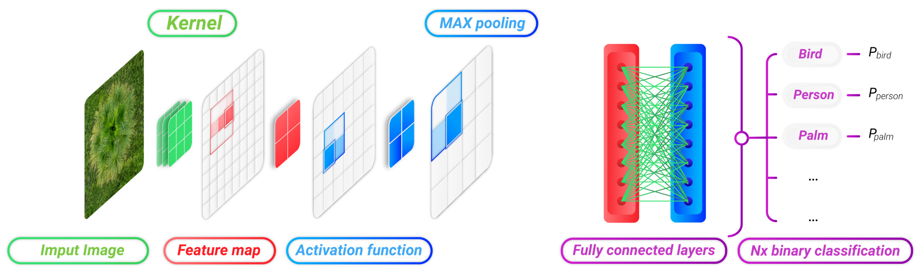 Forests 13 00655 g003