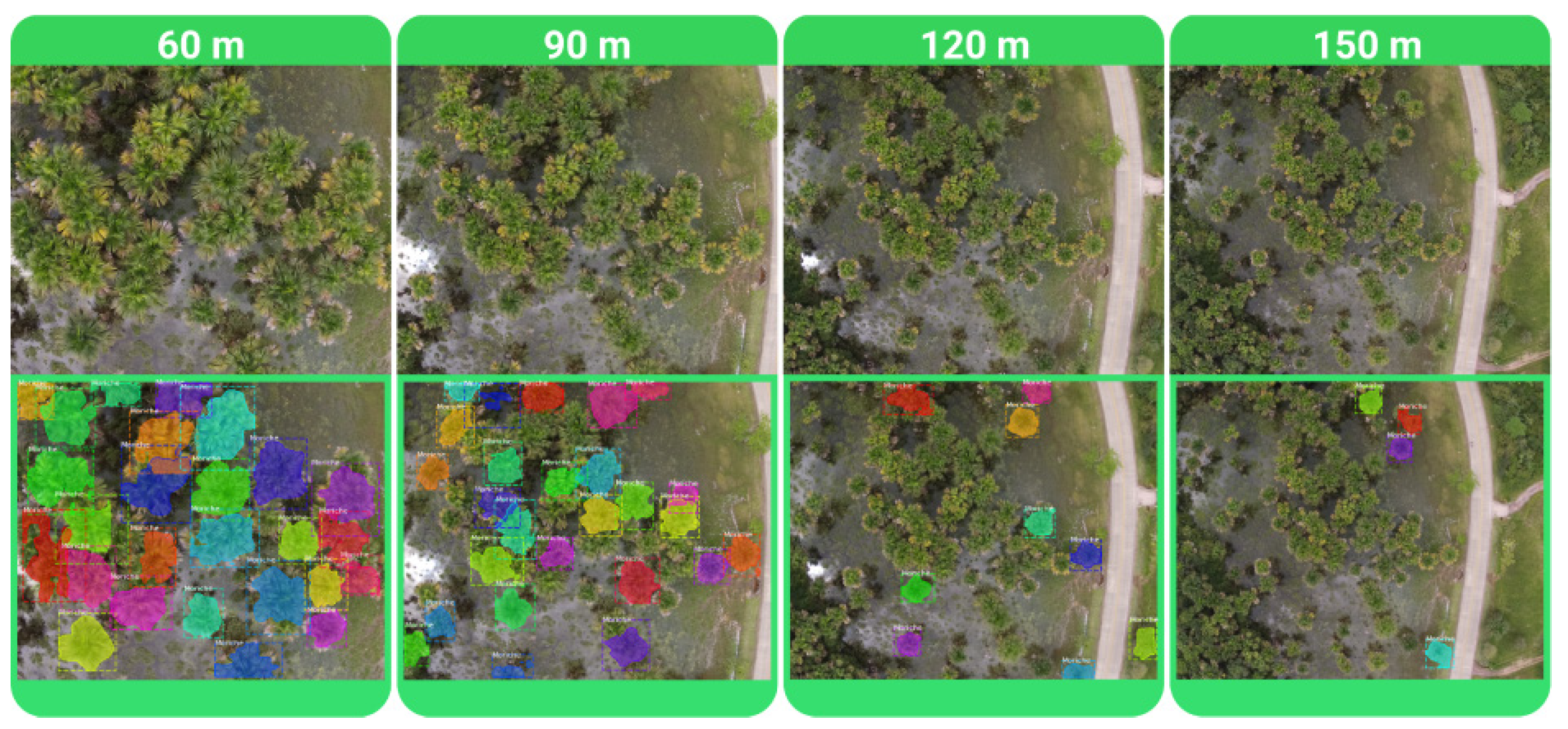 Forests 13 00655 g006