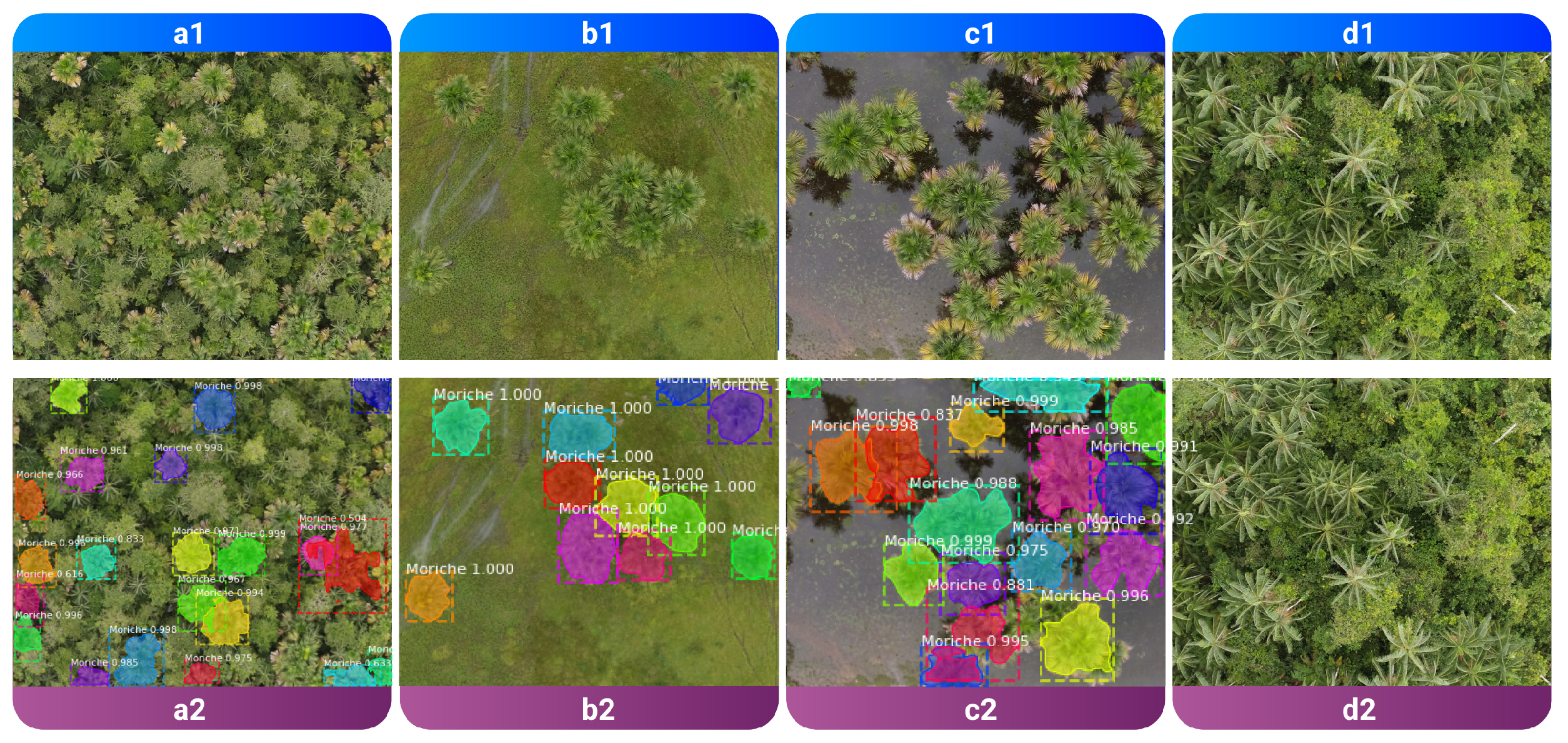 Forests 13 00655 g007