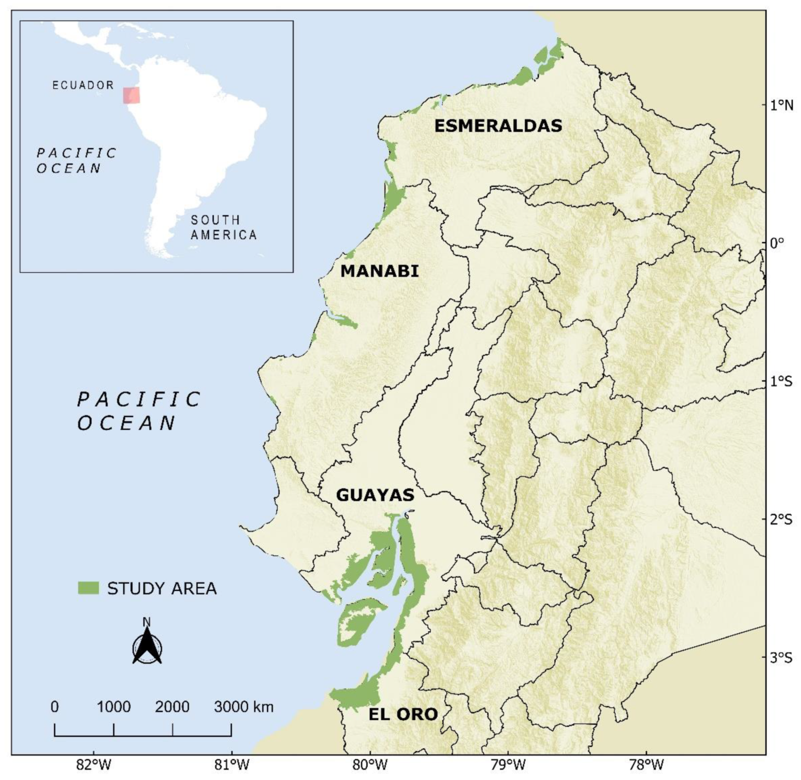 Forests 13 00656 g001