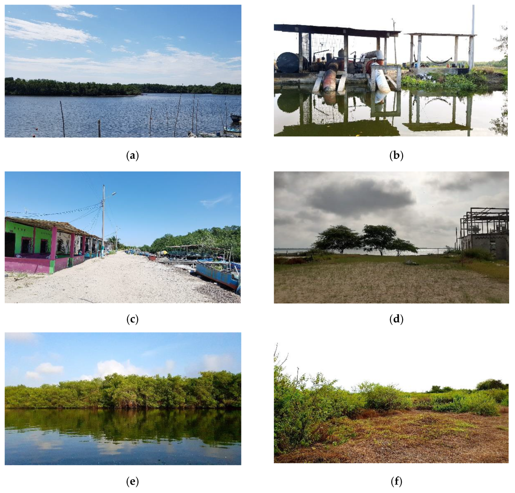 Forests 13 00656 g002a