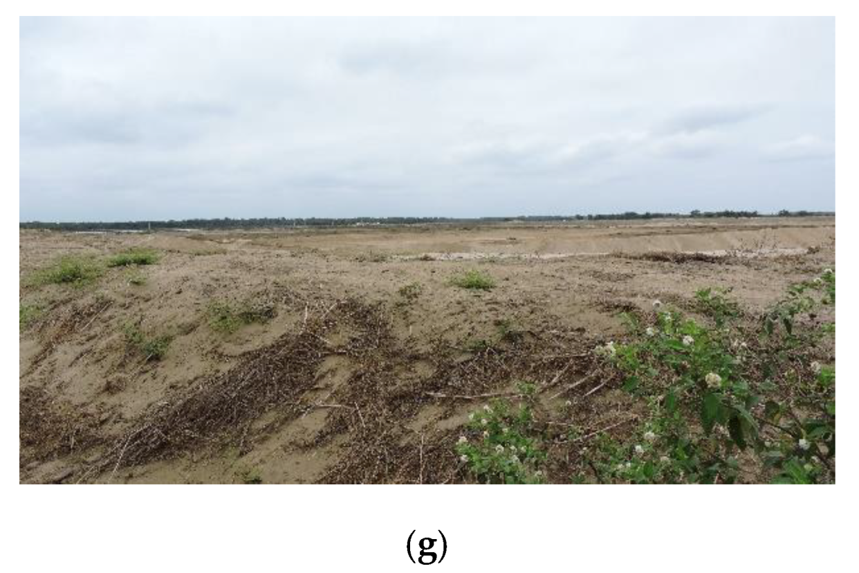 Forests 13 00656 g002b