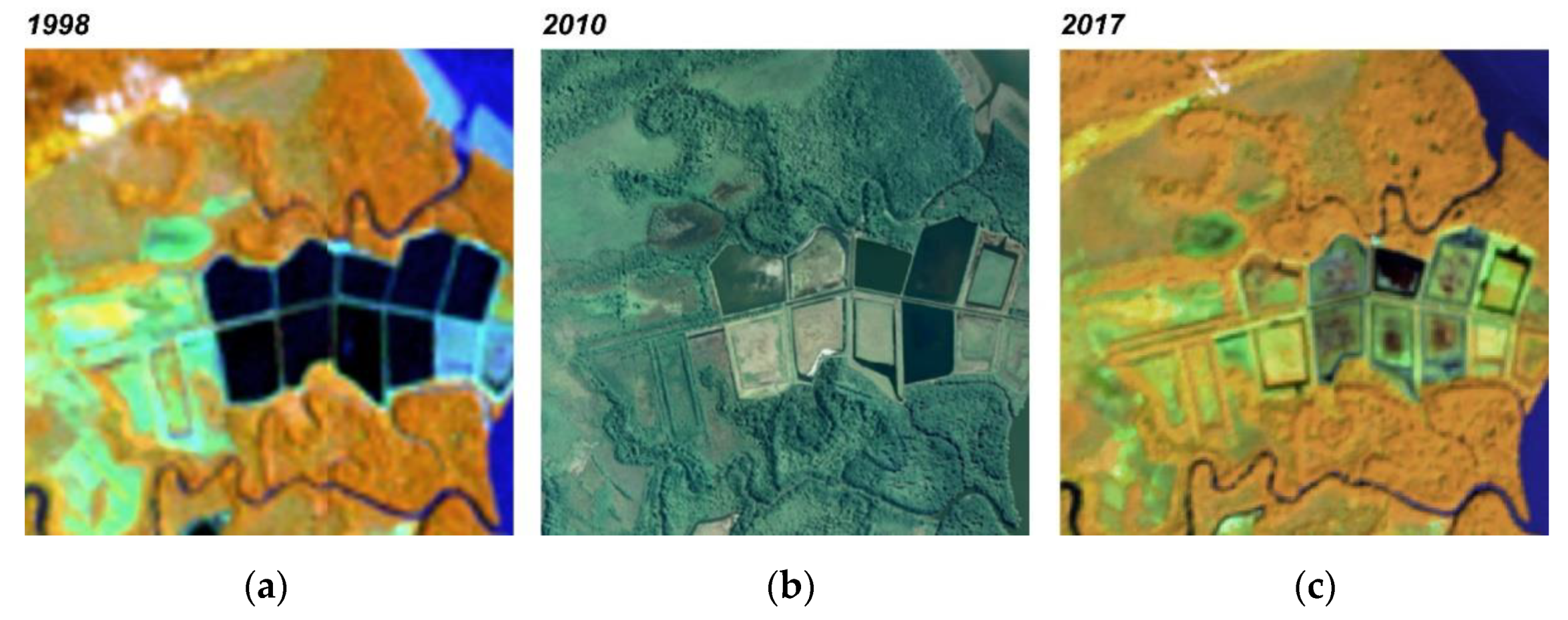 Forests 13 00656 g005