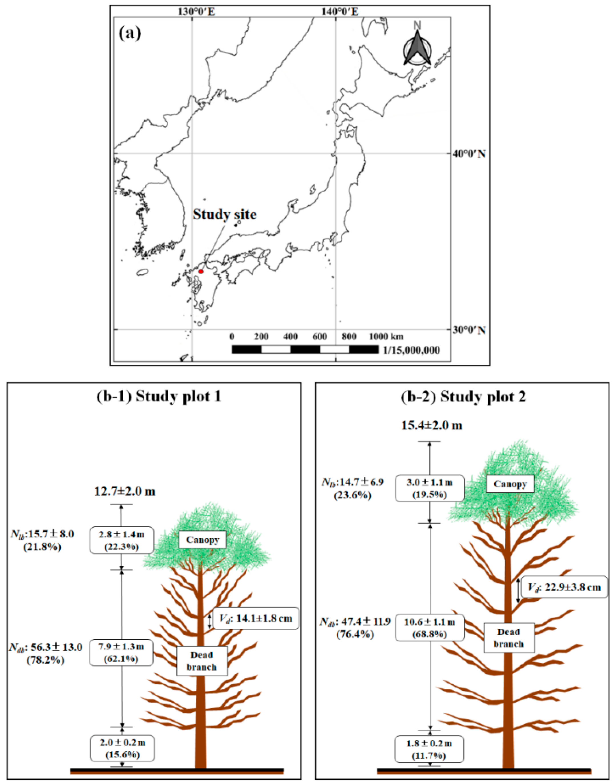 Forests 13 00657 g002