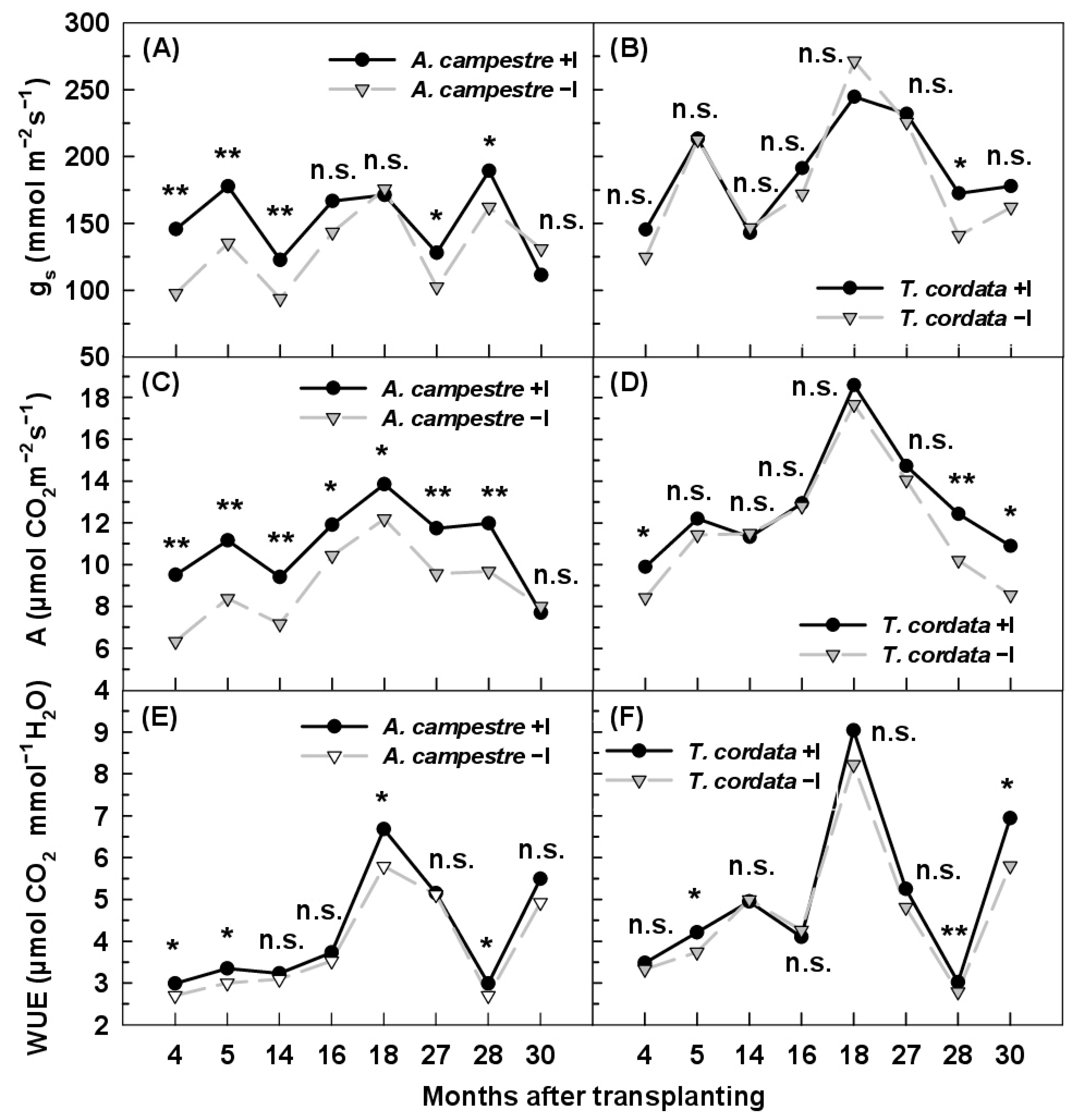 Forests 13 00658 g002