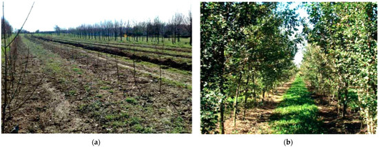 Forests 13 00658 g0a1