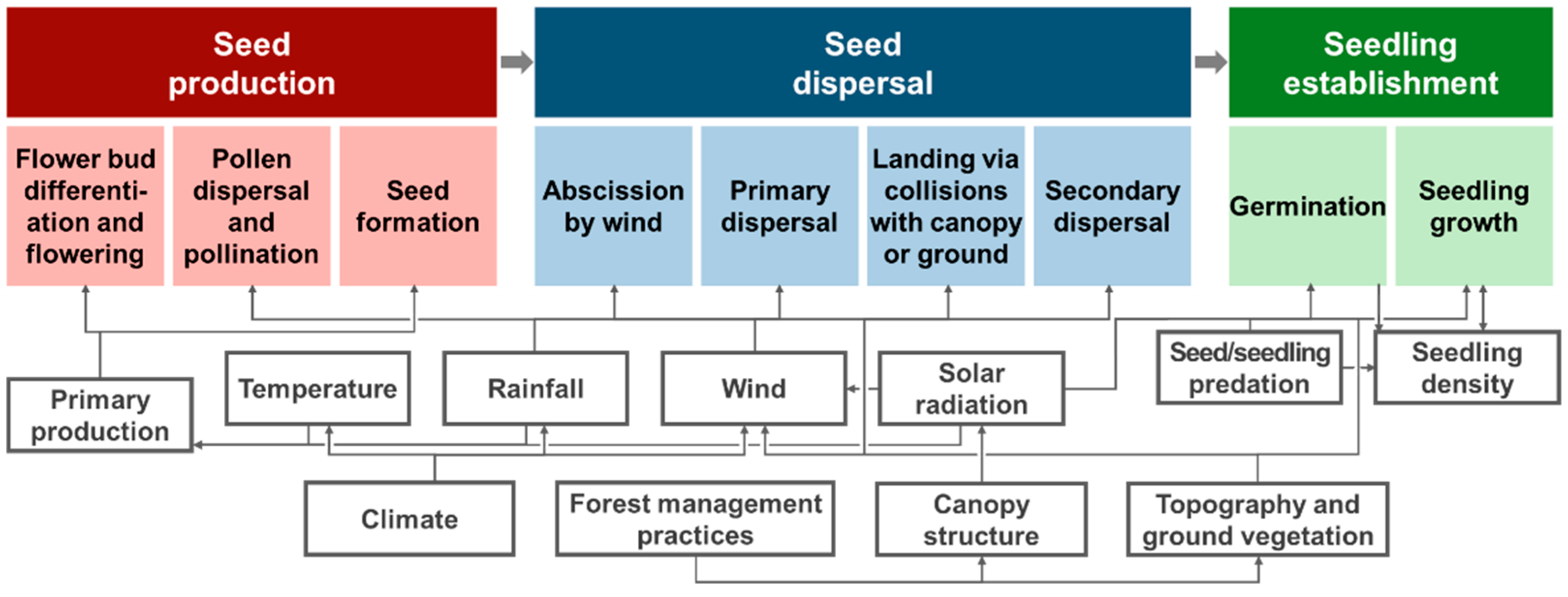 Forests 13 00659 g001