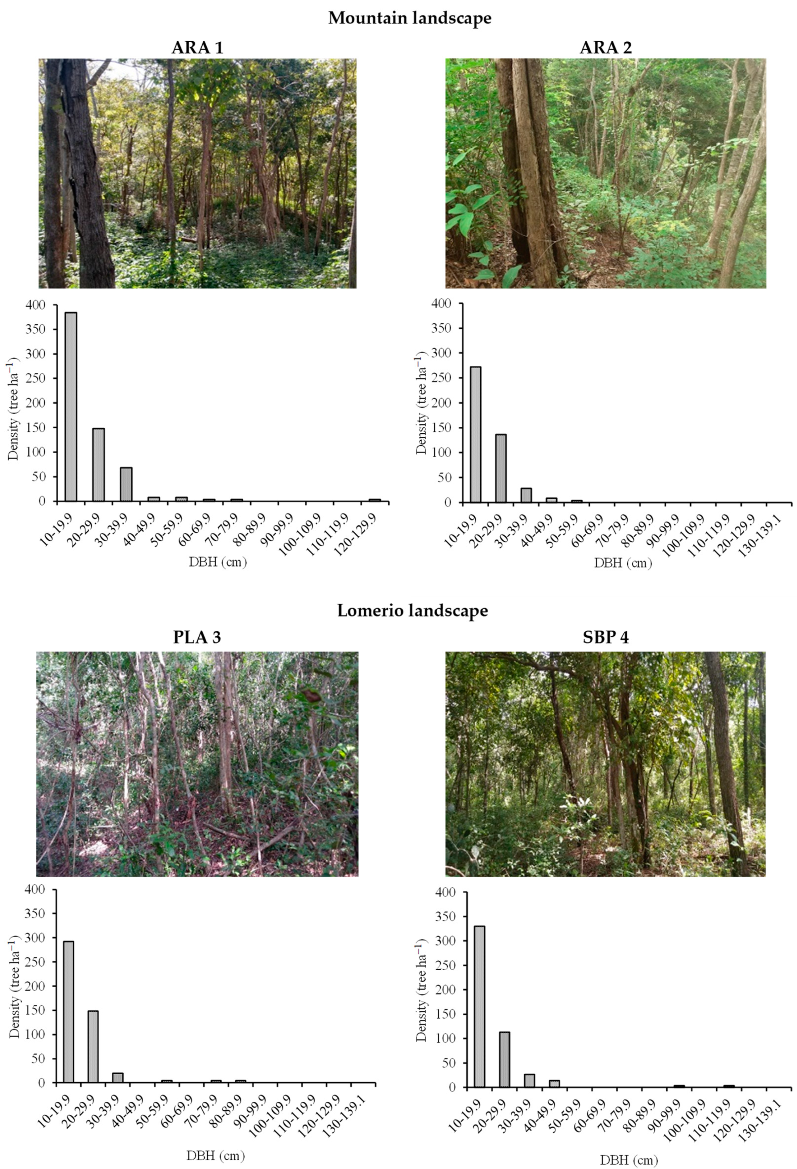 Forests 13 00660 g002