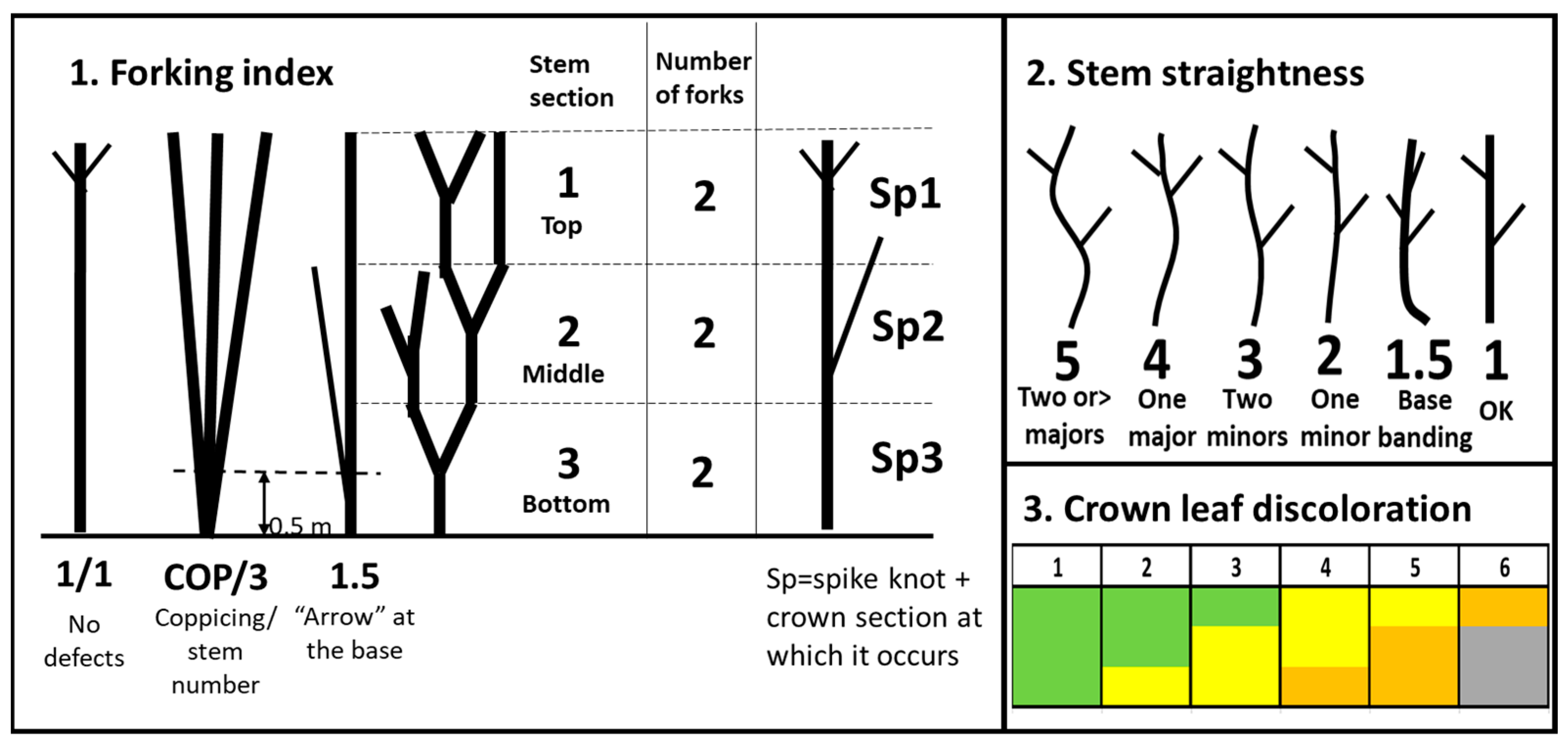 Forests 13 00664 g001