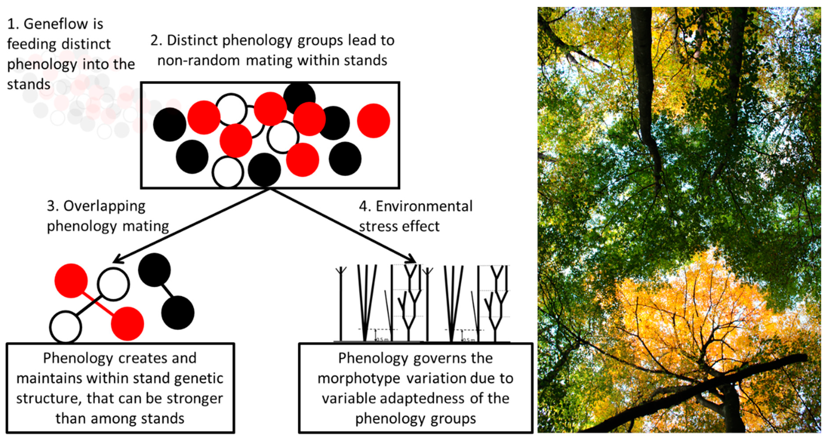 Forests 13 00664 g005
