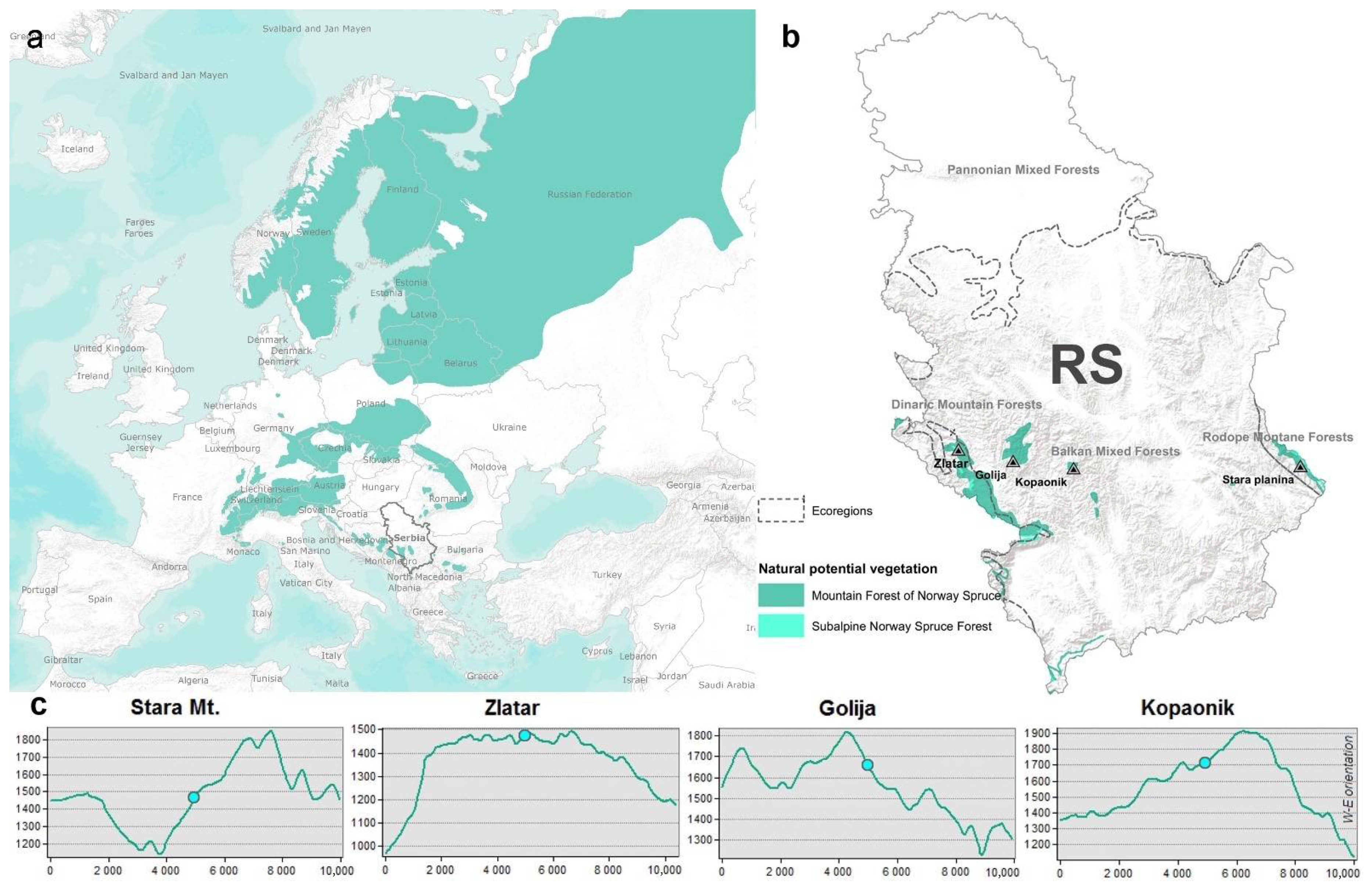 Forests 13 00666 g001 Forests 13 00666 g001