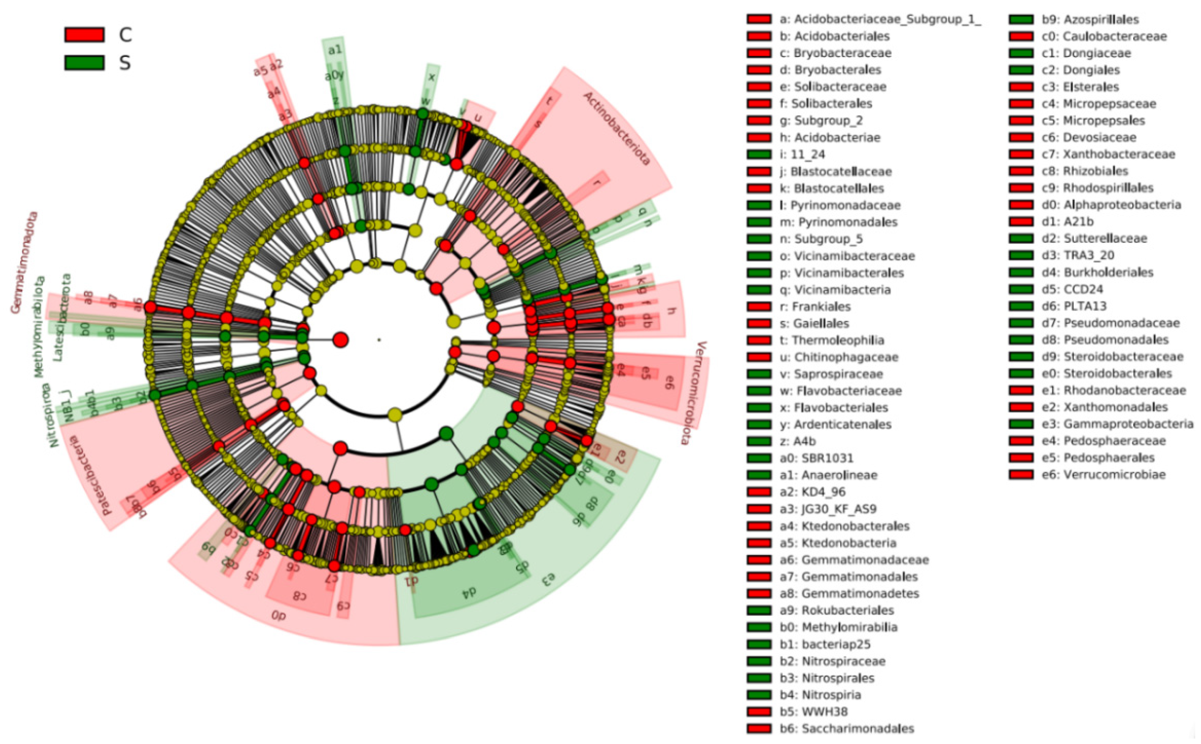 Forests 13 00667 g008