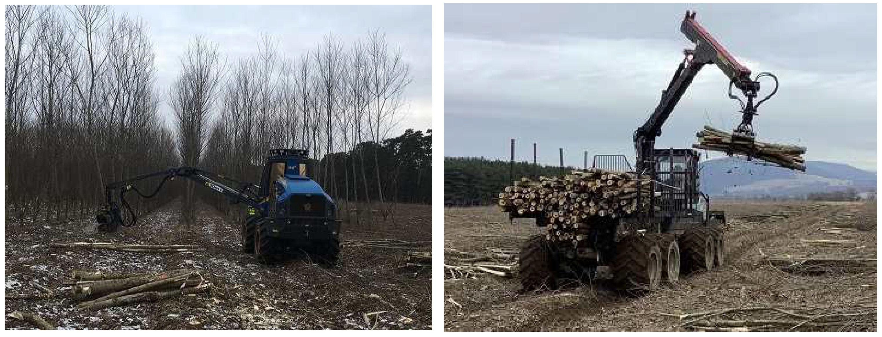 Forests 13 00669 g001