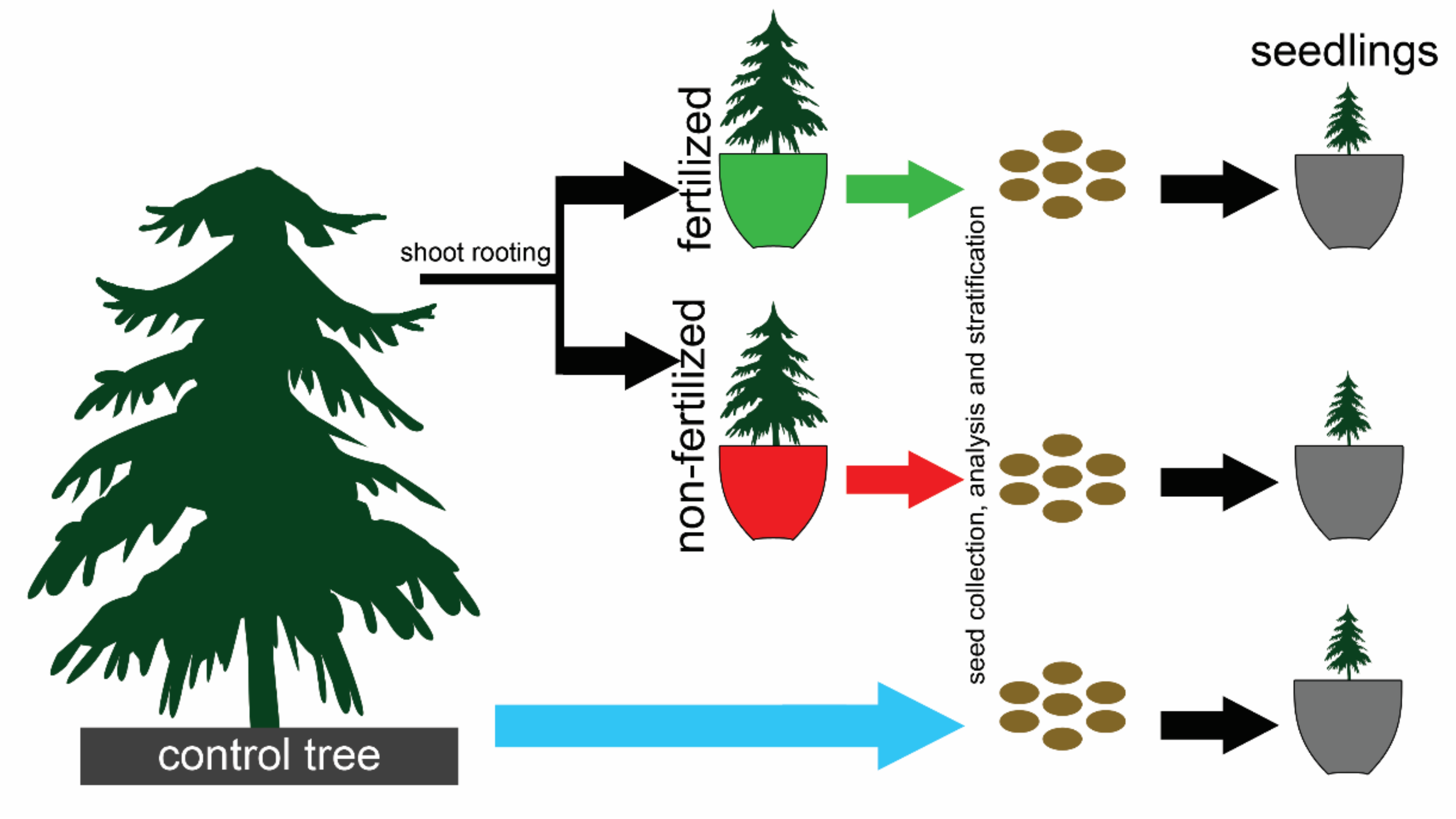 Forests 13 00670 g001