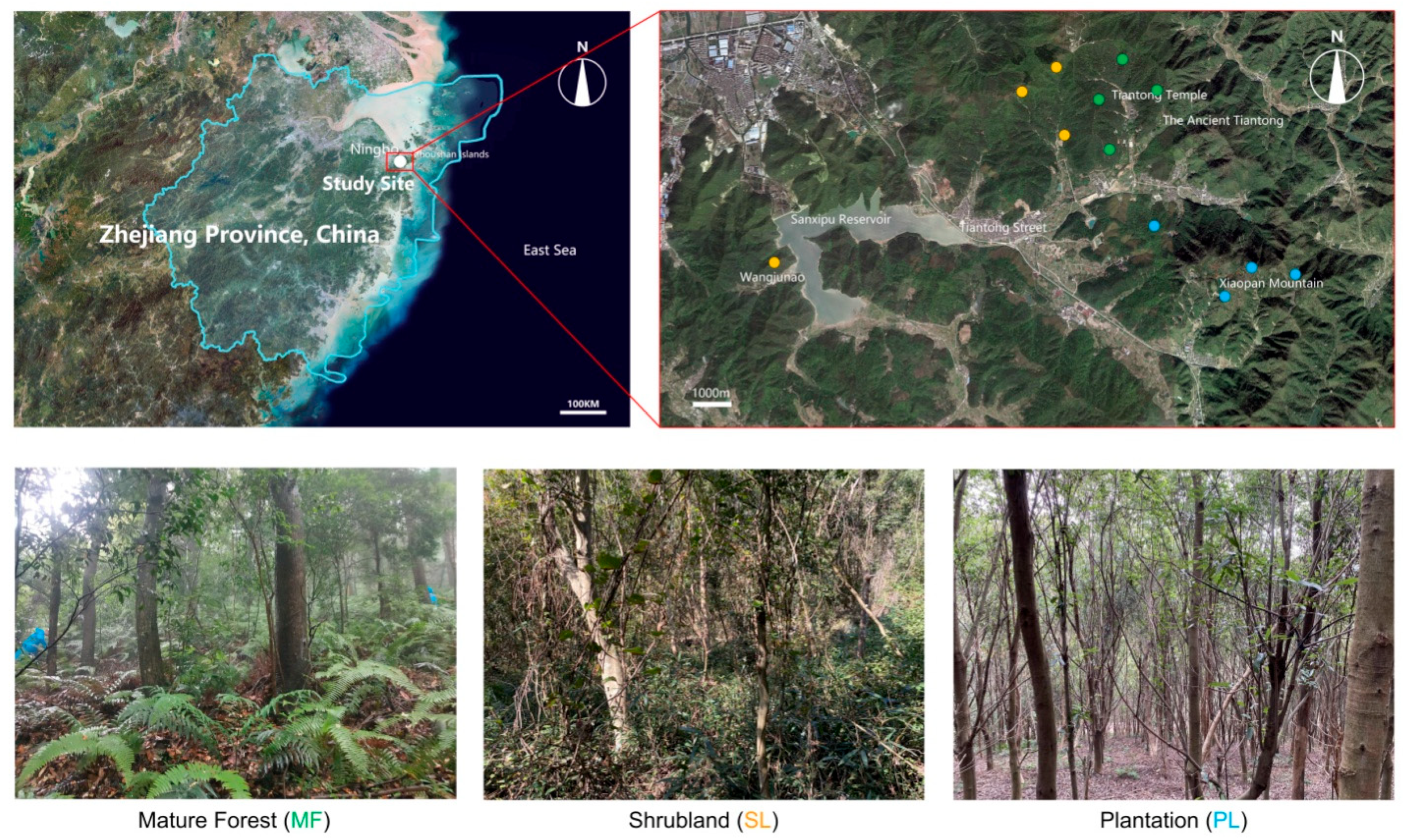 Forests 13 00672 g001