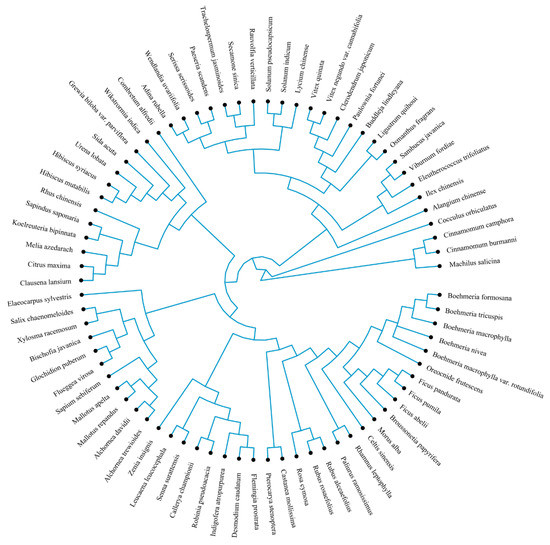 Forests 13 00673 g0a1 550