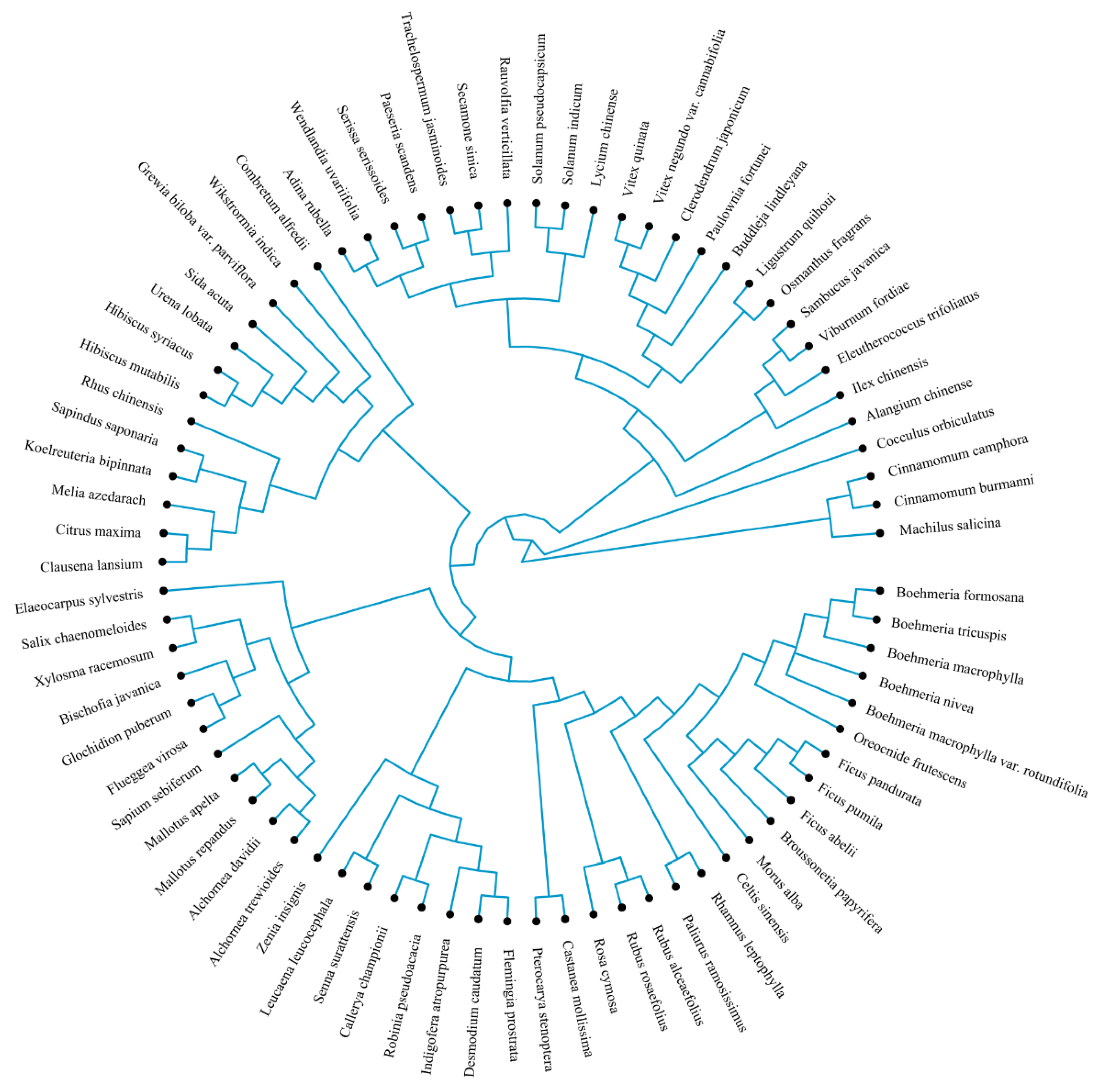 Forests 13 00673 g0a1