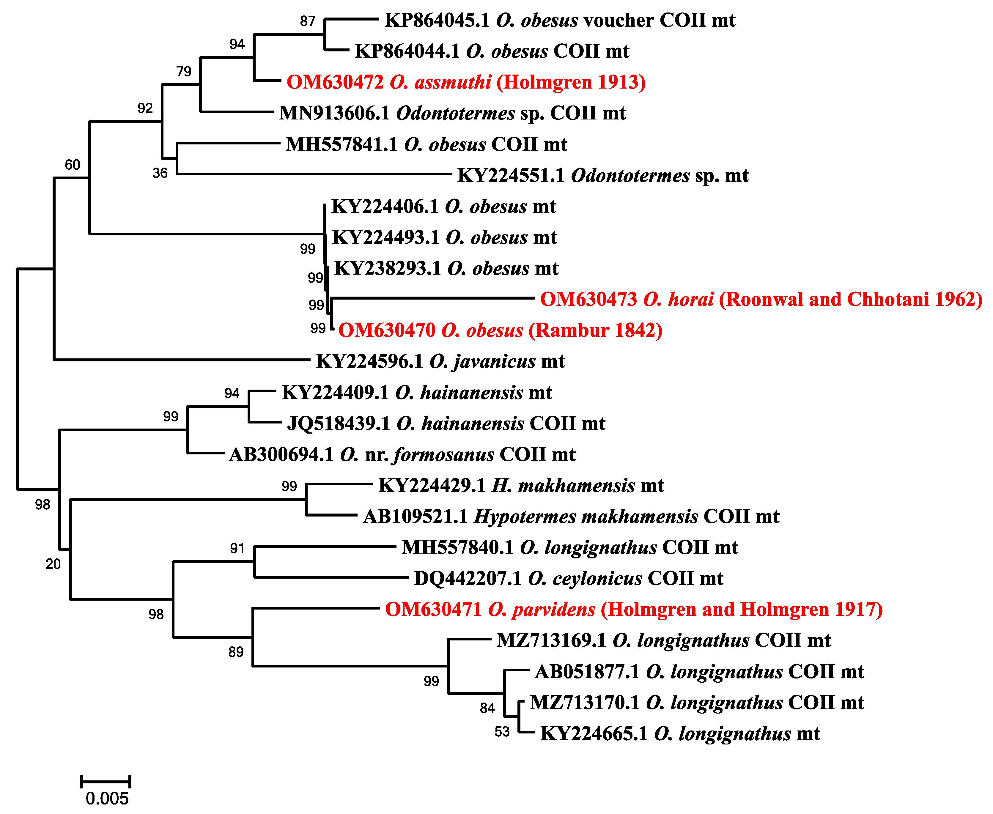 Forests 13 00674 g007