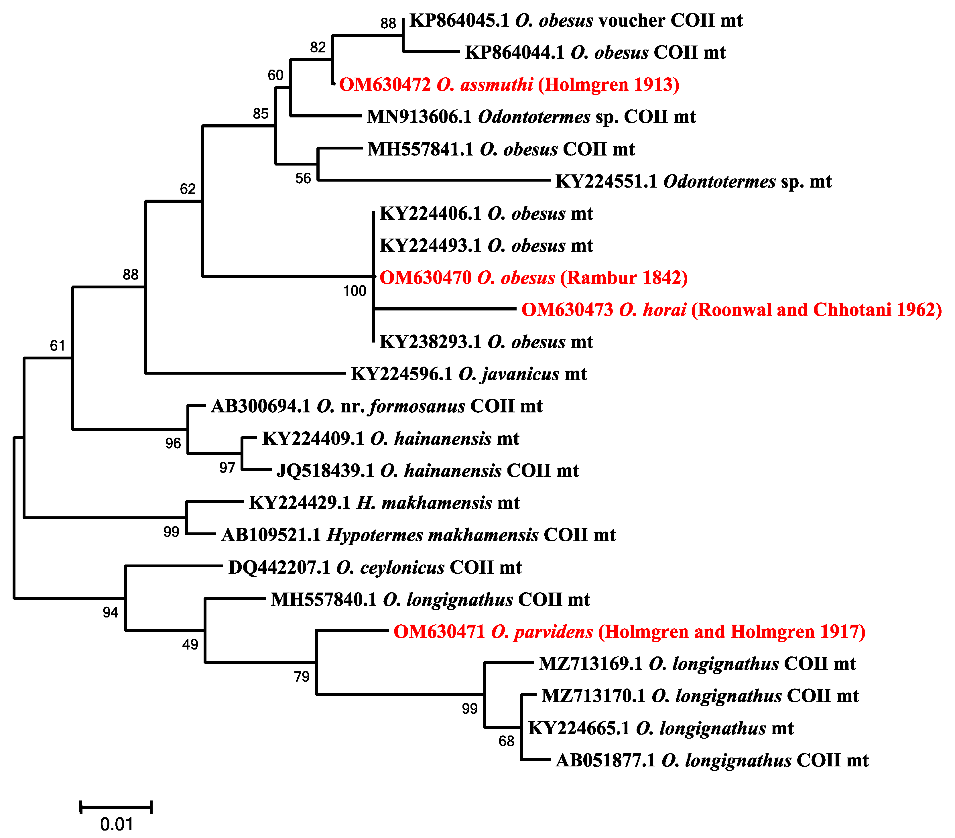 Forests 13 00674 g008