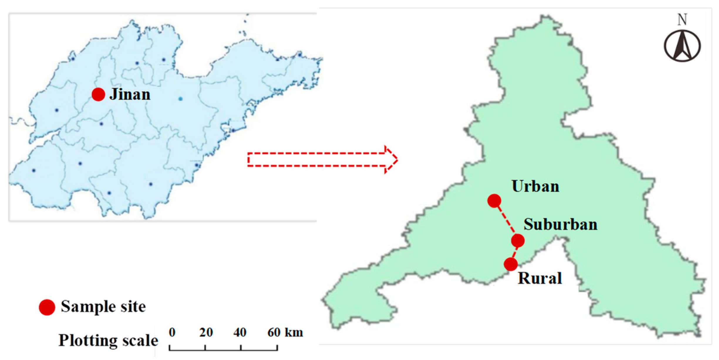Forests 13 00675 g001