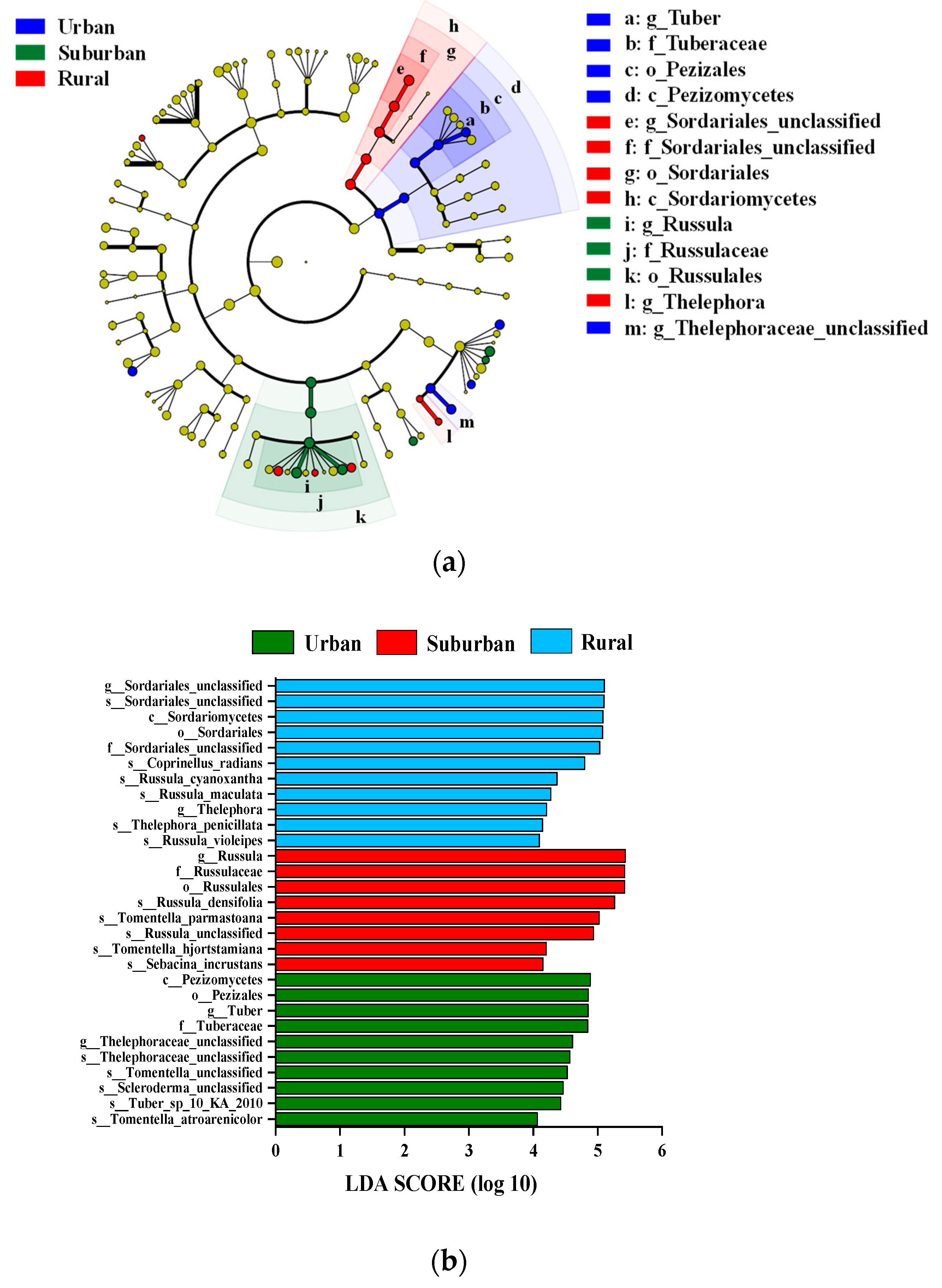 Forests 13 00675 g004