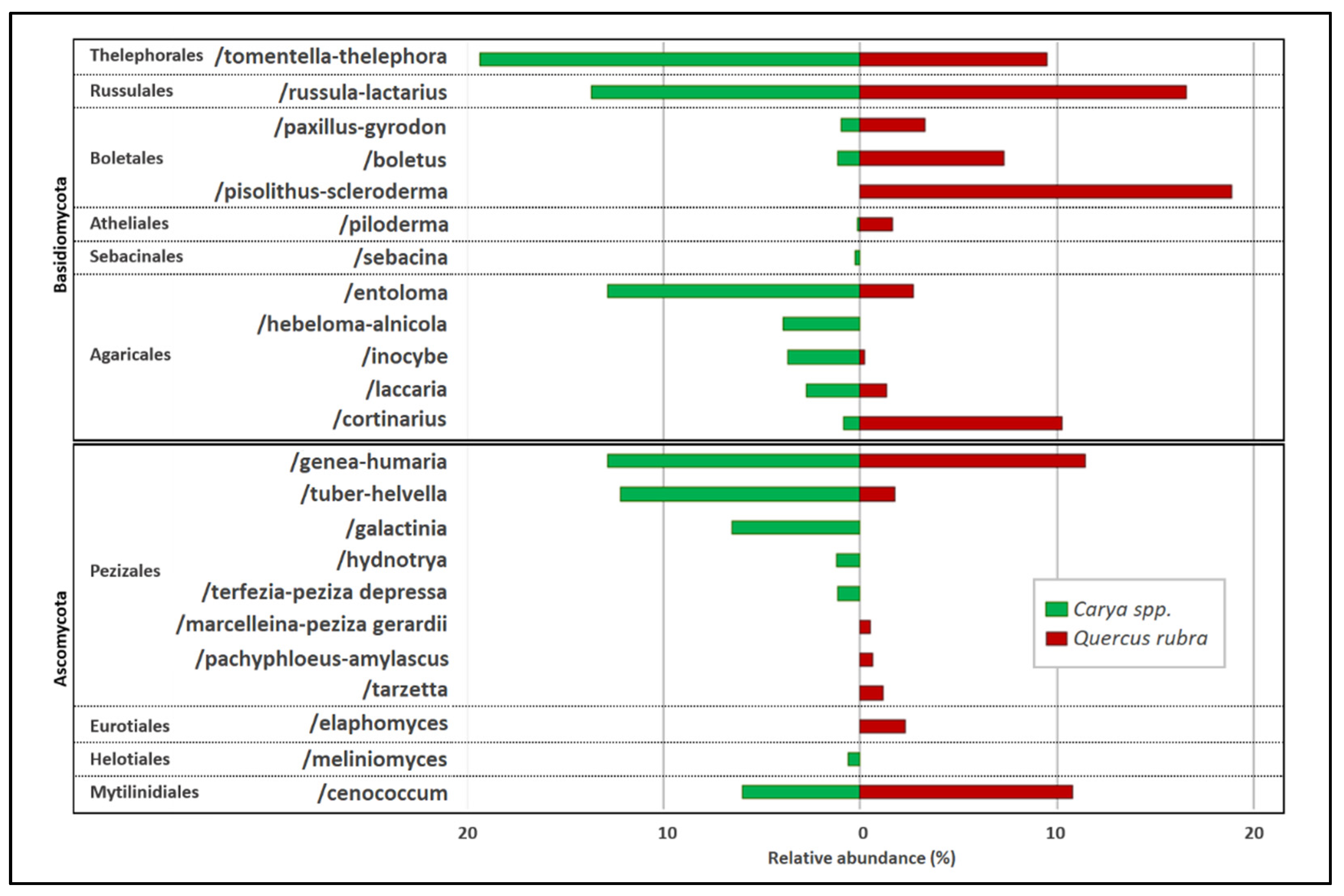 Forests 13 00676 g002