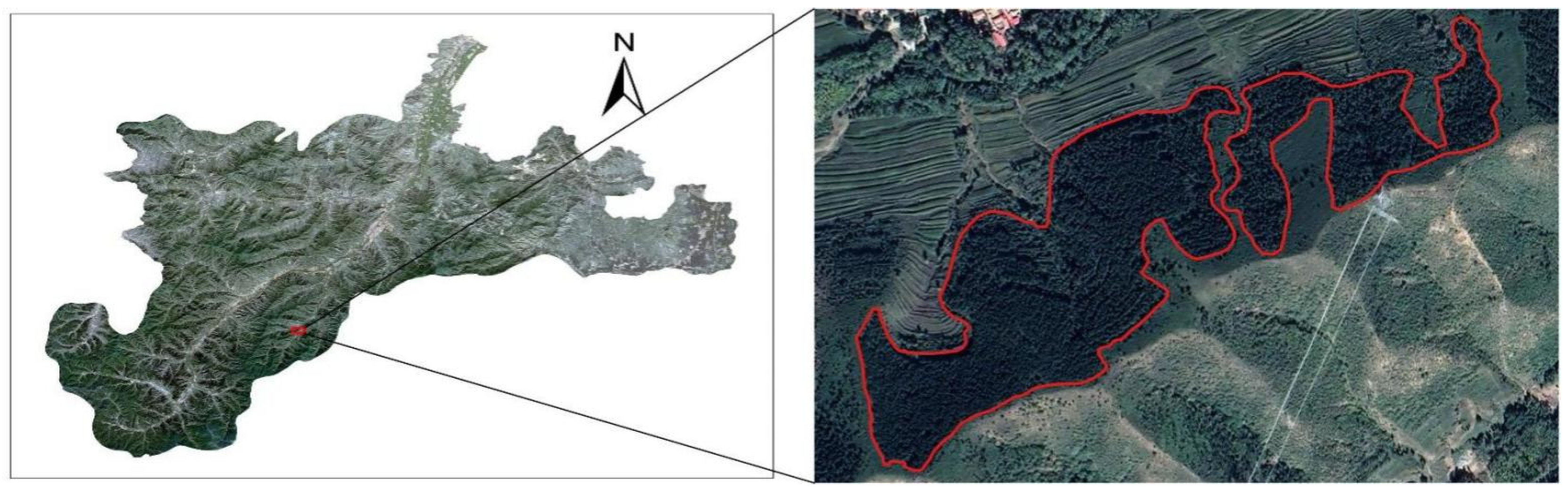 Forests 13 00677 g004