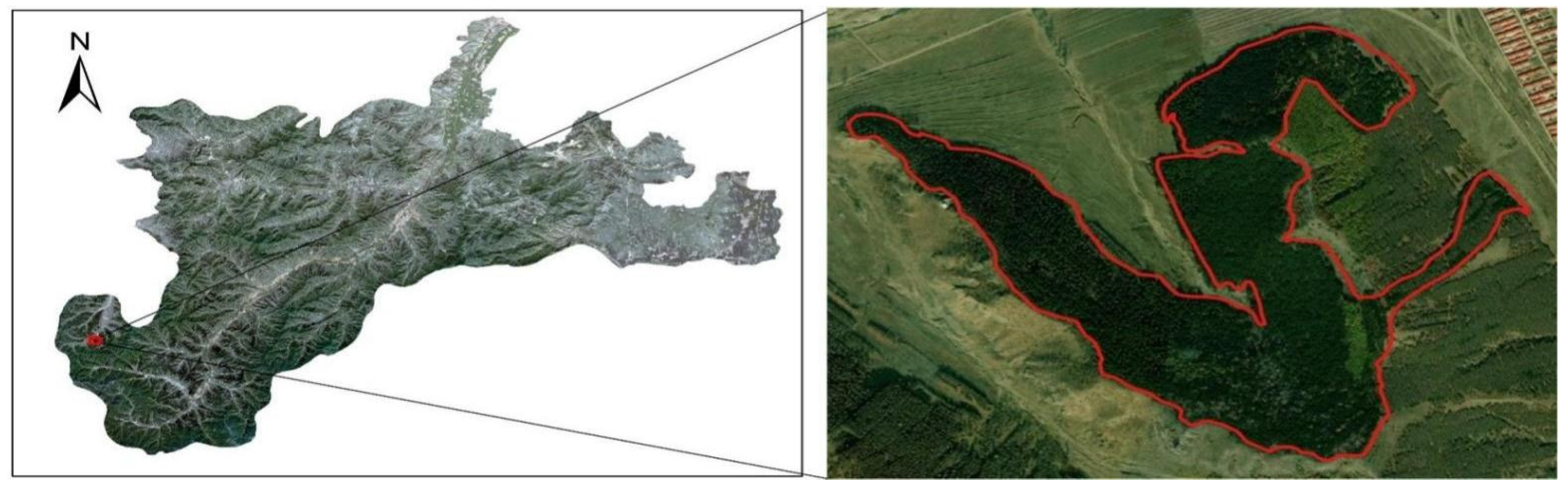 Forests 13 00677 g007