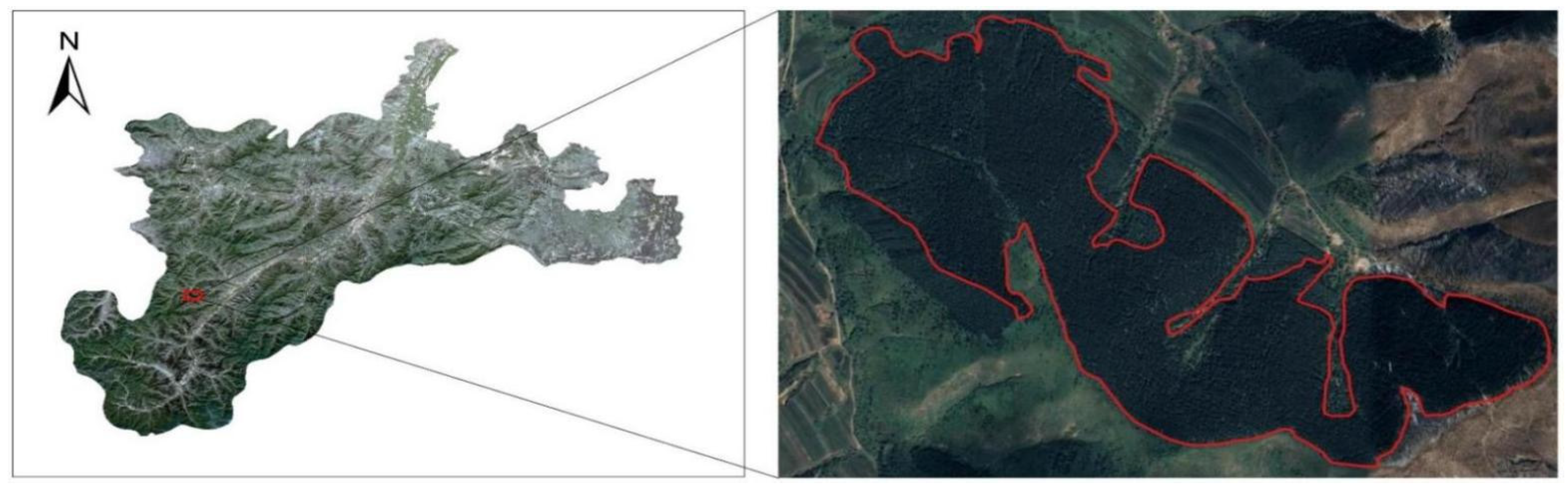 Forests 13 00677 g010