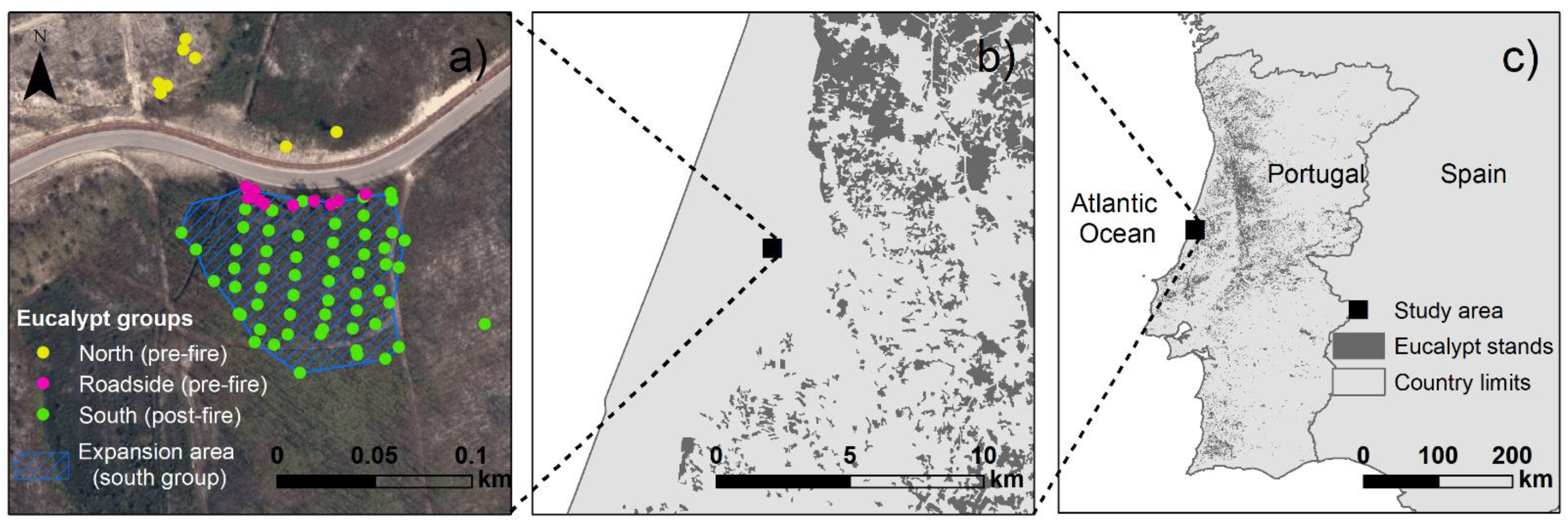 Forests 13 00680 g001 Forests 13 00680 g001