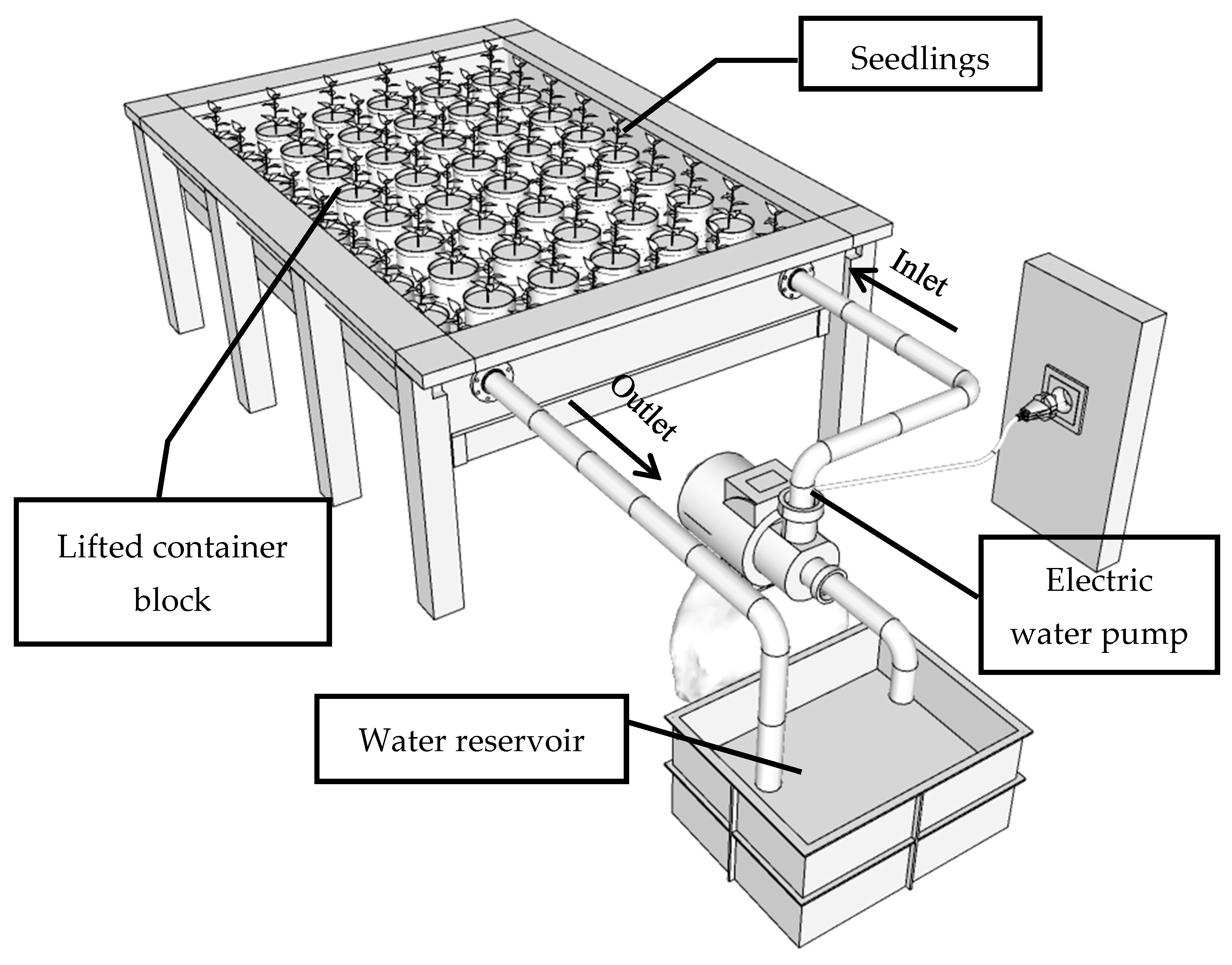 Forests 13 00684 g001