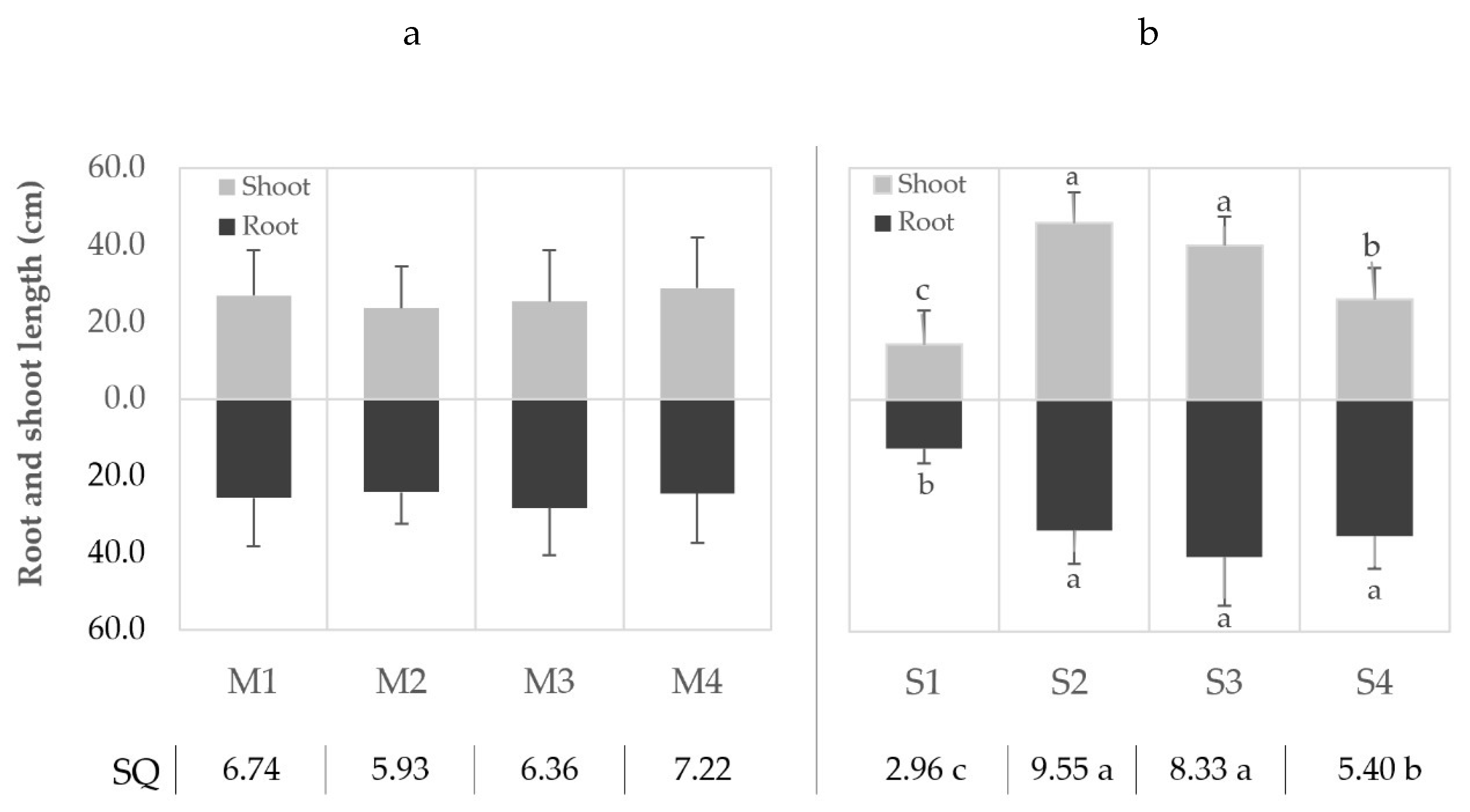 Forests 13 00684 g003